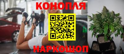 трава Славгород