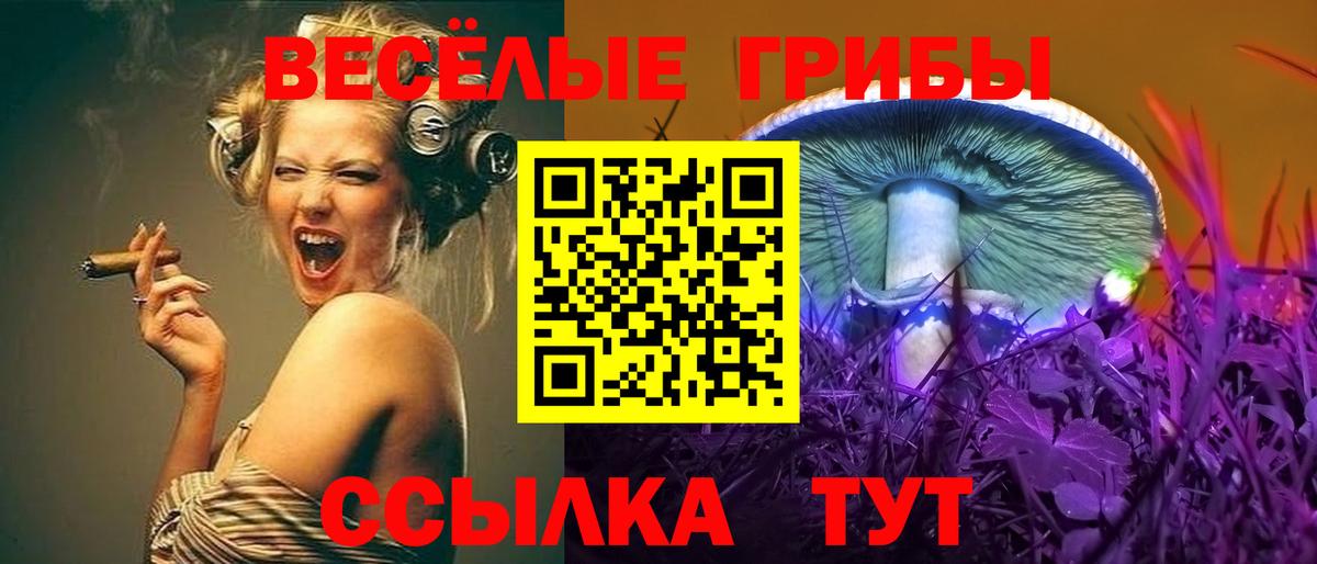 Псилоцибиновые грибы Magic Shrooms Саров