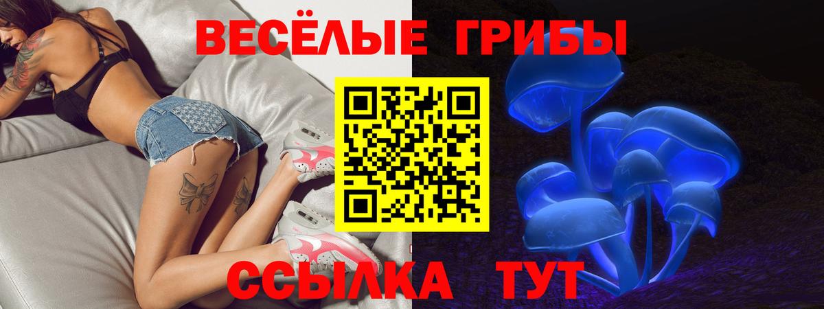 Саров  Псилоцибиновые грибы GOLDEN TEACHER  даркнет сайт  Вход с VPN  Галлюциногенные грибы Cubensis 